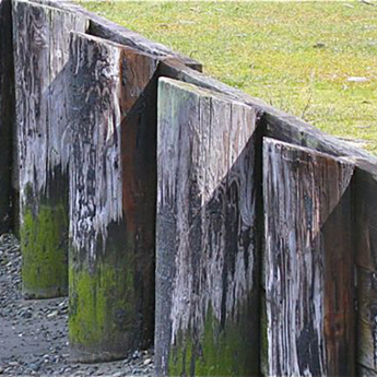 Shoreline Hardening Survey