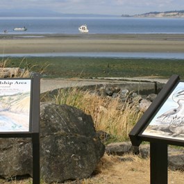 Shoreline Signage